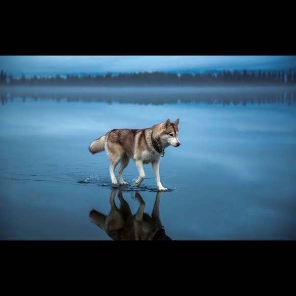 Meet your Posher, Natalie