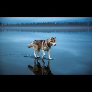 Meet your Posher, Natalie