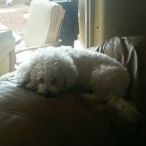 Meet your Posher, Julie