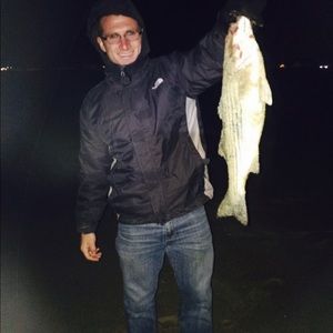 Meet your Posher, Dylan