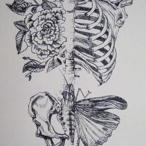 Meet your Posher, Brandy