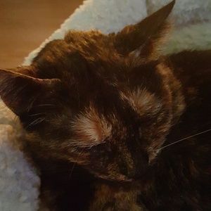 Meet your Posher, Jill