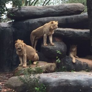 Meet your Posher, Keisha