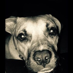 Meet your Posher, Megan