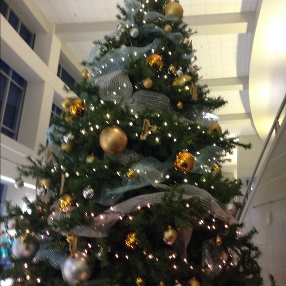 Meet your Posher, Sara - Picture 1 of 1