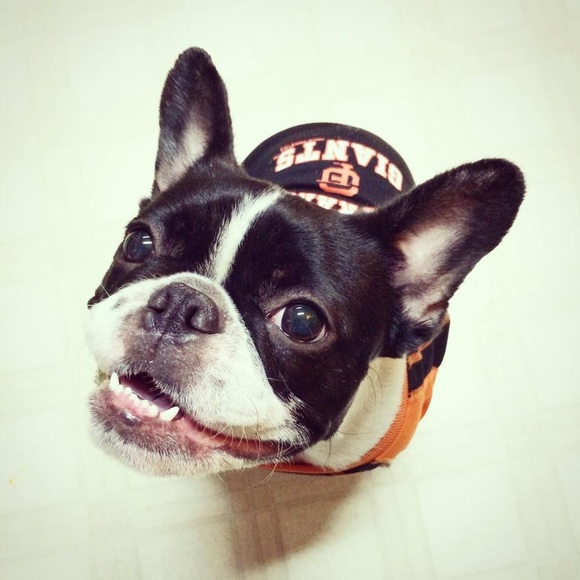 Meet your Posher, Dana - Picture 1 of 1