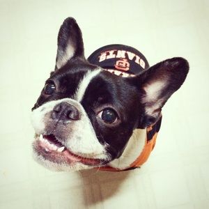 Meet your Posher, Dana