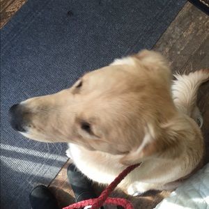 Meet your Posher, Zoe