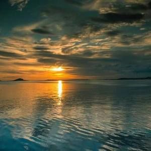 Meet your Posher, Elin