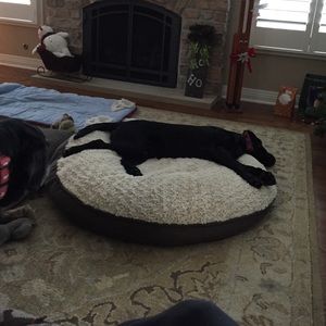 Meet your Posher, Robyn