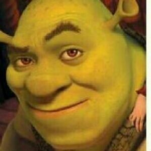 Meet your Posher, Brooklyn