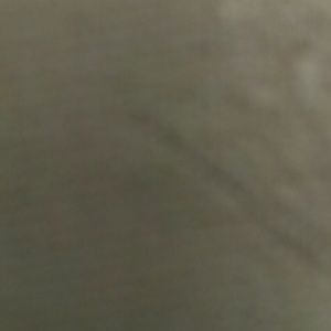 Meet your Posher, Antonio