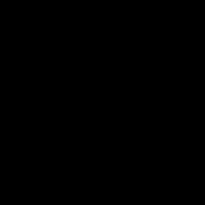 Meet your Posher, Vincent