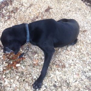 Meet your Posher, Justin