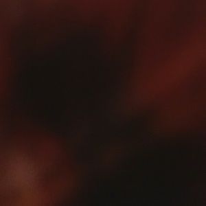 Meet your Posher, Dylan