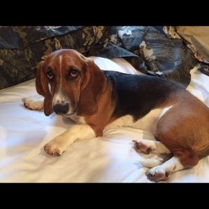 Meet your Posher, Ashleigh