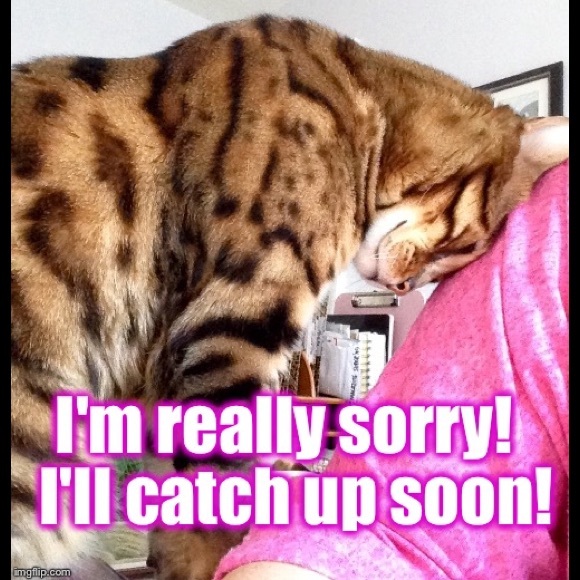 I'm sorry for falling behind w/shares & replies!