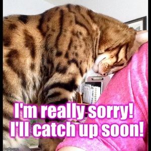 I'm sorry for falling behind w/shares & replies!