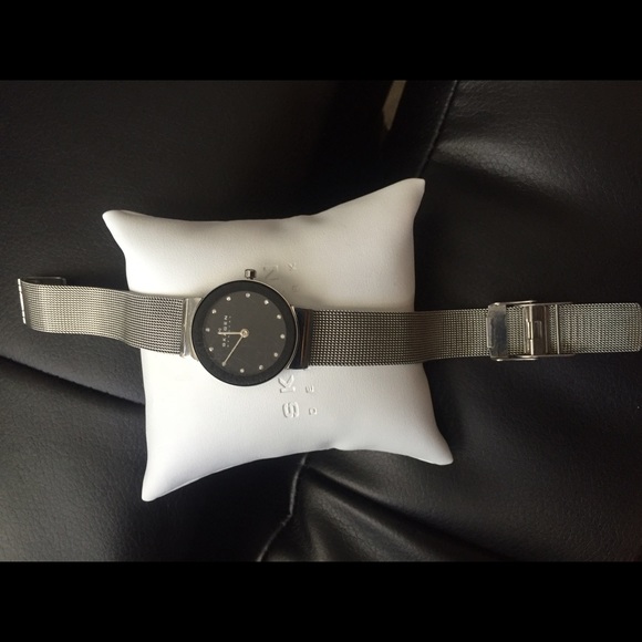 Watch by skagen