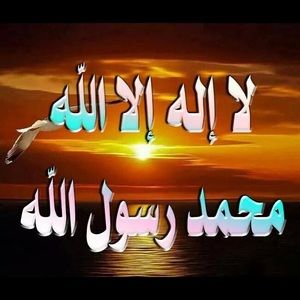 Meet your Posher, Kadia