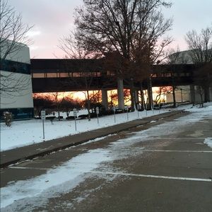 Meet your Posher, Rothany