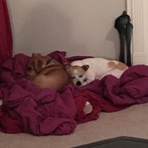 Meet your Posher, Jennifer