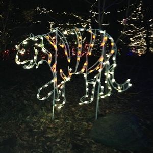 Meet your Posher, Savanna