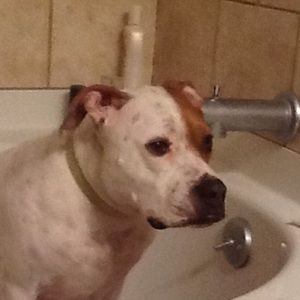 Meet your Posher, Meleah