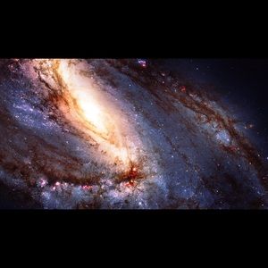 Meet your Posher, Robyn