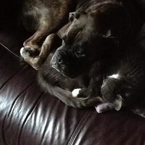 Meet your Posher, Victoria