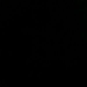 Meet your Posher, Dena