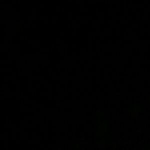 Meet your Posher, Jada