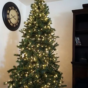 Meet your Posher, Joe