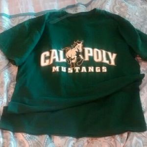 #3 NWOT Cal Poly Mustangs College Sports Support