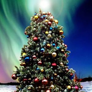 Meet your Posher, Vicky