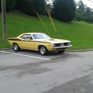 Meet your Posher, Malik