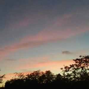 Meet your Posher, Alysa