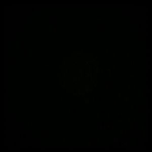 Meet your Posher, Raini