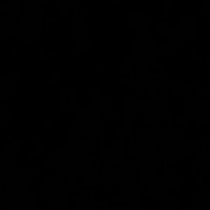 Meet your Posher, Brandys