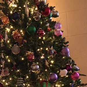 Meet your Posher, Vestalia