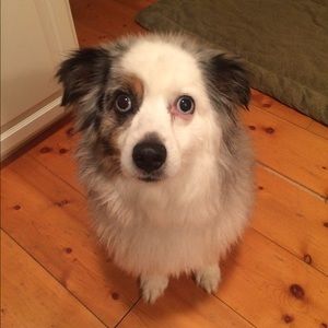 Meet your Posher, Tiffany