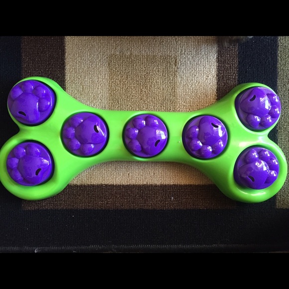 Dog play game