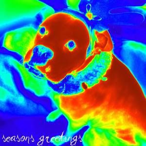 Meet your Posher, Deanna