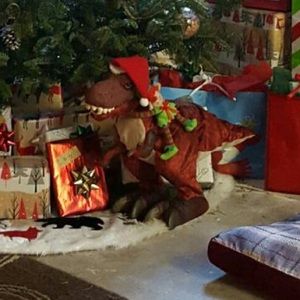 Meet your Posher, Sara