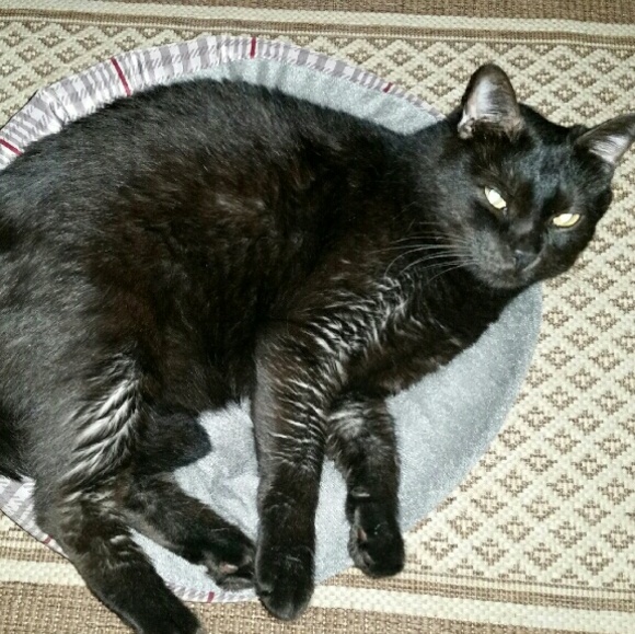 Meet your Posher, Ricarda - Picture 1 of 1