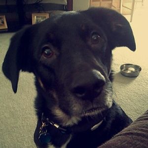 Meet your Posher, Kaitlin