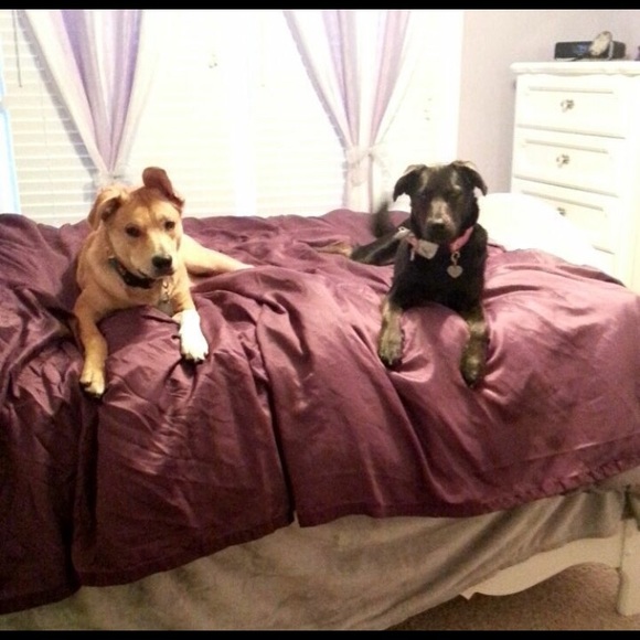 Meet your posher, Ashley - Picture 4 of 4