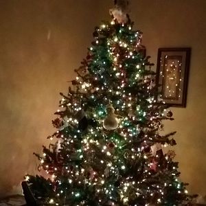 Meet your Posher, Najat