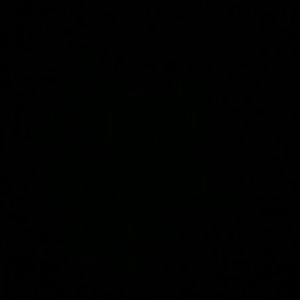 Meet your Posher, Sarahi