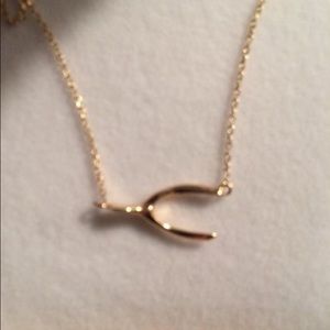 14kt gold chain with gold wishbone charm